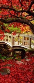 Beautiful Photos Makes Me Want To Paint Japanese Garden Beautiful Landscapes Beautiful Nature