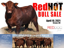 Check spelling or type a new query. Red Doc Farm 2021 Red Hot Bull Sale By Red Doc Farm Issuu
