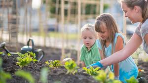Wir bieten beratung für die gemüseanbau sowie betreuung und planung. Wie Sie Einen Bio Garten Anlegen