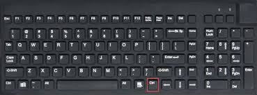 The right key for your system could be f1, f2, f10, etc. Zoom A Web Page