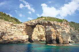 Image result for Leucas princei