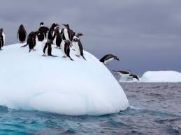 Image result for Light Ice Blue 2013 Fleet