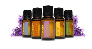 China's b2b impact award · quality china products How The Doterra Business Model Really Works Amy Innes