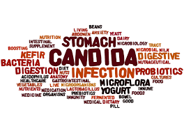 Candidose Et Nutrition Votresanteaunaturel Info