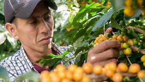 Inspiración: Manual para la facilitación de comunicaciones basadas en la  esperanza