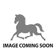 Smart Start: Building A Strong Foundation For Your Horse: Westfall, Stacy,  Copeland, Sue M: 9781929164578: Amazon.Com: Books