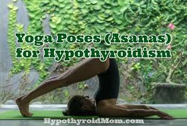 Camel pose is an intense back bend, a progression from bow pose and is a great heart opener. Yoga Poses Asanas For Hypothyroidism Hypothyroid Mom