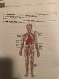 There are three major types of blood vessels: Solved Laboratory Manual To Accompany Human Biology 15th Chegg Com