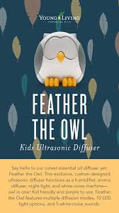 Check spelling or type a new query. Feather The Owl Diffuser Sweet Dreams Bundle Deal Lia And Reese