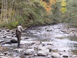 Get directions, reviews and information for perfect look in molalla, or. Remembering Mark Schmidt Molalla River Steward Native Fish Society