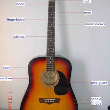The parts of a guitar | magnolia guitar for acoustic electric guitar parts diagram, image size 600 x 532 px, and to view image details please click the image. The Parts Of An Acoustic Guitar