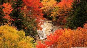Autumn Wallpaper 1920x1080 76 High Quality Graphics New Wallpapers Autumn Wallpaper Hd Fall Wallpaper Desktop Wallpaper Fall