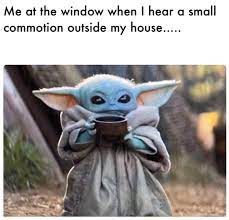 The unnamed character is known as yiddle that resembles an infant version of the star wars character yoda. The 50 Best And Funniest Baby Yoda Memes 50 Best Part 3 Yoda Funny Yoda Meme Funny Pictures
