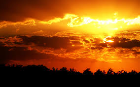 Browse 373,921 orange sunset stock photos and images available, or search for orange sunset sky or orange sunset background to find more. Orange Sky Google Search Sunset Wallpaper Sunset Sky Orange Sky