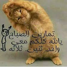 funny stickers animals funny snaps