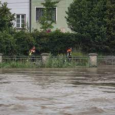 Statt 17 runden denkt wolff an 5 oder 8 0:0 comments neue donau führt hochwasser, badeverbot verhängt 0:0 comments Rx7gba9ujumcxm