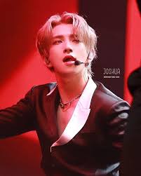 See more ideas about seventeen, joshua, joshua seventeen. Seventeen Joshua ì„¸ë¸í‹´ ì¡°ìŠˆì•„ On Instagram Sorry Guys I Had To Post This Joshua Seventeen Joshua Hong Seventeen Kpop