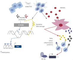 Check spelling or type a new query. Jcm Free Full Text Molecular Fingerprints Of Malignant Pleural Mesothelioma Not Just A Matter Of Genetic Alterations Html