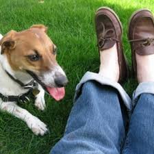 Weep not for me though i am gone into that gentle night. 21 Pet Friend Poems Poems About Dogs Cats Animal Friends