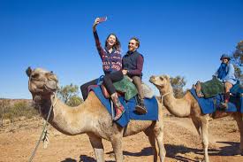 L write some words from the chapter on the board. Frequently Asked Questions Pyndan Camel Tracks