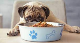 We cook my current dogs food and we do breakfast and dinner. Best Dog Food For Pugs And Their Health Needs