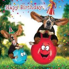 Risultati Immagini Per Auguri Di Buon Compleanno Cane Buon Compleanno Meme Auguri Di Compleanno Auguri Di Buon Compleanno