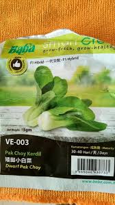 Also known as bok choy or chinese celery cabbage, pak choi is a leafy vegetable that is delicious added to stir fries. Untung Tanam Sayur Pak Choy Pokok Yang Sama Boleh Tuai Sampai 6 Kali Tapi Kena Potong Ikut Cara Ini Vanilla Kismis