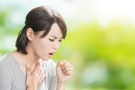 Ekspektoran obat batuk jenis ekspektoran dapat membuat dahak lebih mudah dikeluarkan ketika batuk. Pilihan Obat Batuk Berdahak Yang Ampuh Alodokter