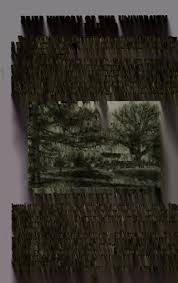 Champaign County directory