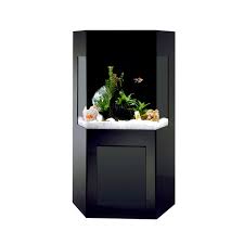 Fish tanks & aquariums for sale. Shadow Box Aquacustom Aquarium Aquarium Shadow Box Midwest Tropical Touch Of Modern