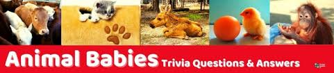 Ask questions and get answers from people sharing their experience with risk. 99 Animal Trivia Questions And Answers Group Games 101