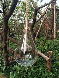 Secure onto a wall and hang your terrariums from the hooks stay connected: 11 Large Plant Terrarium Teardrop Terrarium Held By A Rope Air Plant Hanging Planter For Garden Ornaments Gift For Mother Plant Terrarium Air Plants Hangingterrarium Large Aliexpress
