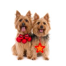 Shop our range of premium kitchen equipment & accessories online today, sourced from the world's best suppliers. 292 1x1 Square Photos Free Royalty Free Stock Photos From Dreamstime