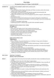 Check spelling or type a new query. Executive Consultant Resume Samples Velvet Jobs
