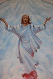 Reports and Directory