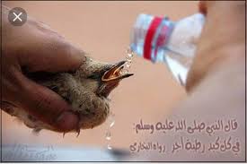 سنة اليوم أفضل الصدقة سقي الماء ايات قرانية على مناظر طبيعية فيسبوك