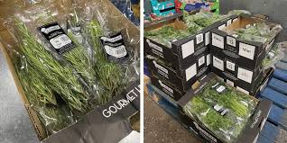 Case Study: John Palin Fresh Produce