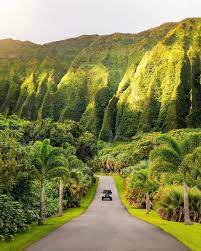 Hawaii Botanical Garden Hawaii Travel Beautiful Destinations Travel Photography