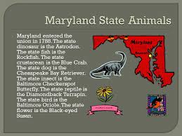 Location of the state of maryland in the united states of america. Nicholas Douridas The State I Am Researching On Is Maryland Its Nickname Is The Old Line State I Couldn T Find A Specific Website To Find The Origin Ppt Download