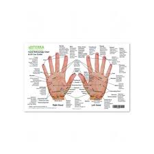 Hand Foot Reflexology Chart And Oil Use Guide