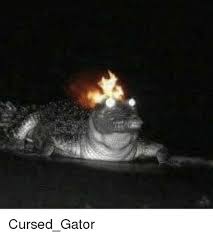 You can choose the image format you need and install it on absolutely any device, be it a smartphone, phone, tablet, computer or laptop. 70 Cursed Images Ideas Cursed Images Image Cursing