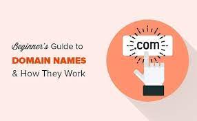 What Is A Domain Name How To Choose A Good Domain Read Full Summary Link In Bio Officialdhd Follow For Domain Name Generator Beginners Guide Names