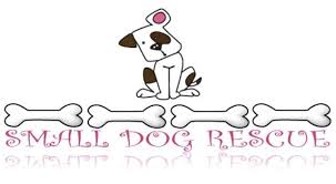 Need help deciding where to stay with your dog? Az Giving Spotlight Angi Hopson Of The Arizona Small Dog Rescue