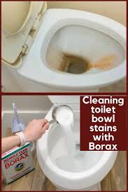 Best Way To Clean Your Toilet Bowl Stains With Borax Powder Clean Toilet Bowl Stains Clean Toilet Bowl Toilet Cleaning