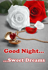 Good Night Daizo Beautiful Rose Flowers Beautiful Roses Beautiful Flowers Wallpapers