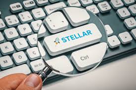 The best cryptocurrency to buy depends on your familiarity with digital assets and risk tolerance. Best Cryptocurrency To Invest In February 2021 No Btc Or Eth Included