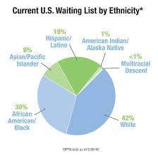 Lets Create An Echo Together United Tissue Resources