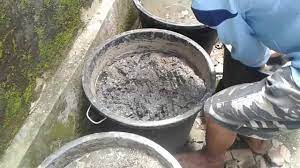 Ternak belut dalam ember merupakan alternatif bagi kawan yang ingin budidaya belut dalam lahan yang sempit dan modal. Wajib Dicoba Budidaya Belut Dalam Ember Yang Menguntungkan