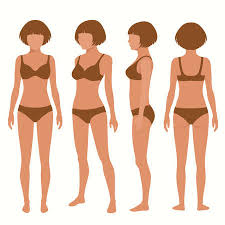 This can effectively educate everyone on the female human body. Human Body Anatomy Front Back Side View Vector Woman Illustration Tasmeemme Com