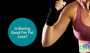 Get the latest boxing news, schedules of boxing fixtures and fight results on sky sports. Is Boxing Good For Fat Loss Efm Health Clubs